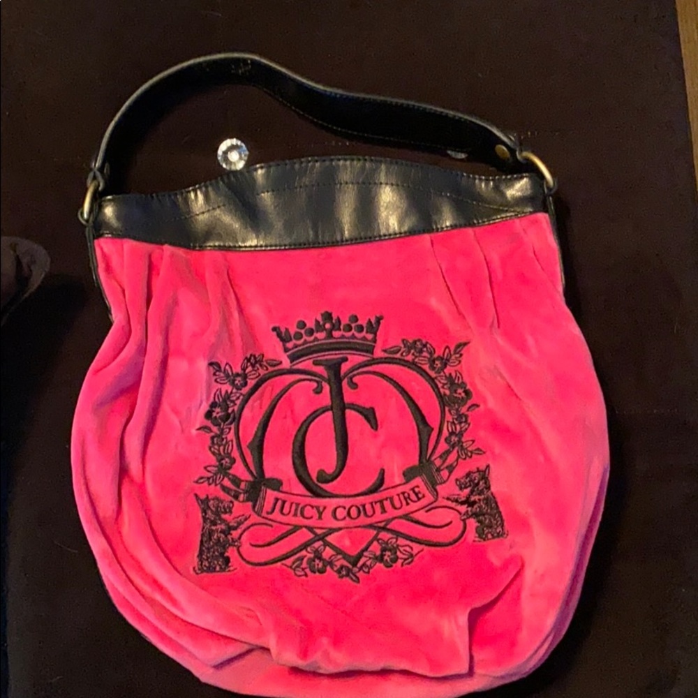 Velour juicy couture bag
